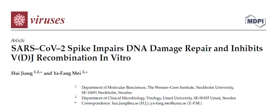 “SARS–CoV–2 Spike Impairs DNA Damage Repair and Inhibits V(D)J Recombination In Vitro”
