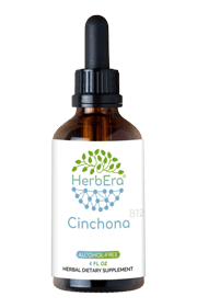 Cinchona B120 Alcohol-Free Herbal Extract Tincture (1)